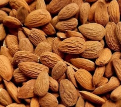 فروش مغز بادام درختی آذربایجان + قیمت عمده
